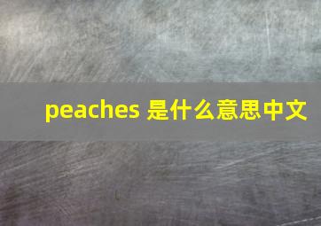 peaches 是什么意思中文